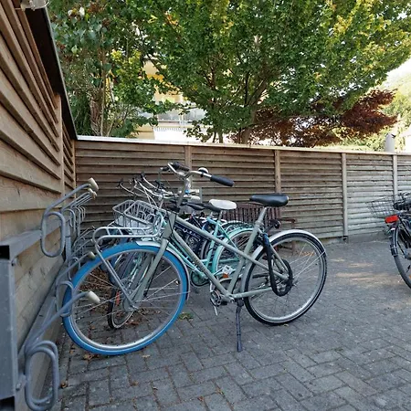 Jellentrup - Adults Only 3*