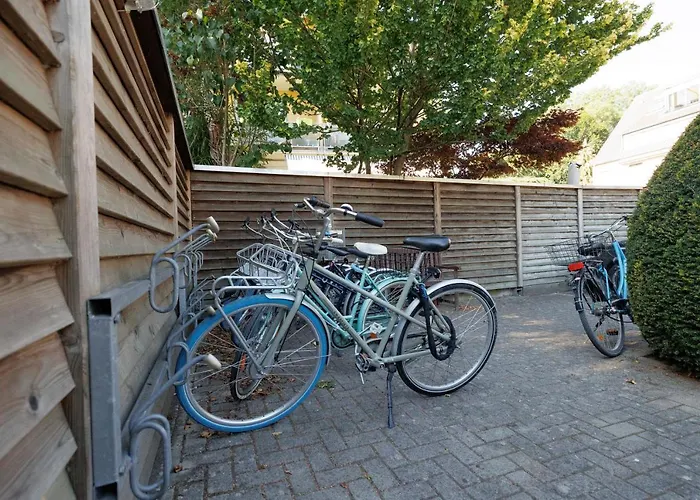 Jellentrup - Adults Only 3*